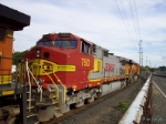 Warbonnet